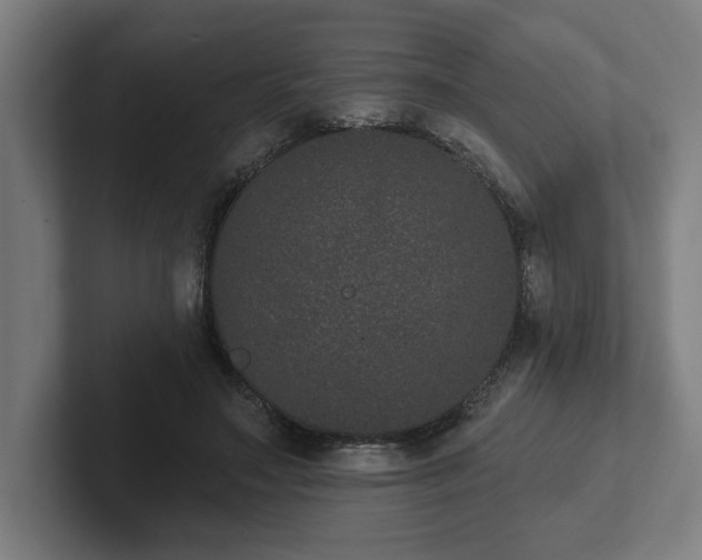 X0000102310499200808011426