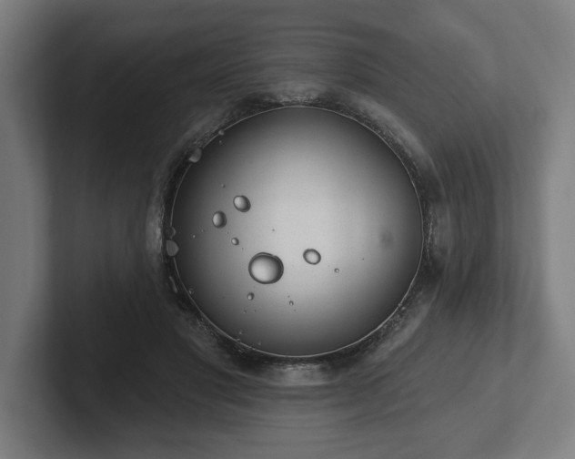 X0000102310501200808011426