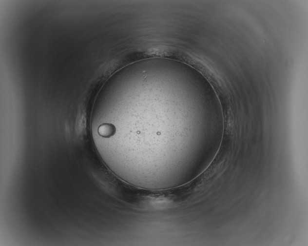 X0000102310502200808011426