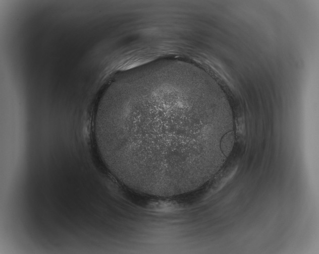 X0000102310503200808011426