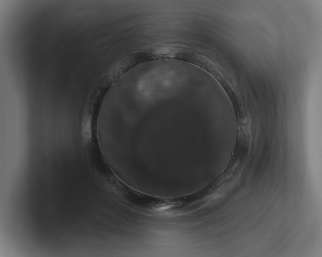 X0000102310504200808011426