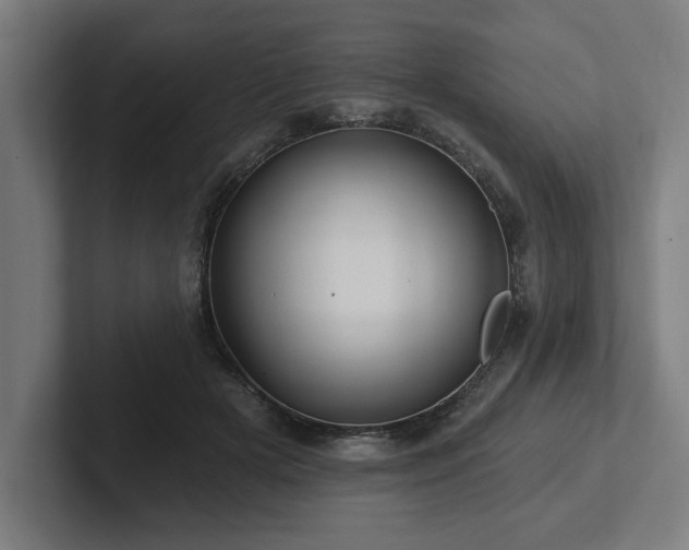 X0000102310505200808011426