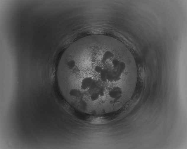 X0000102310507200808011425