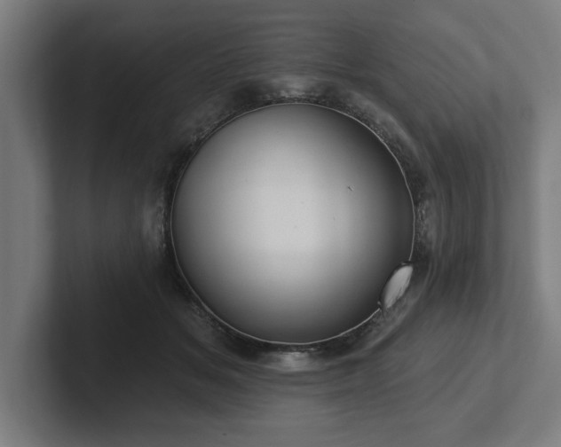 X0000102310509200808011425