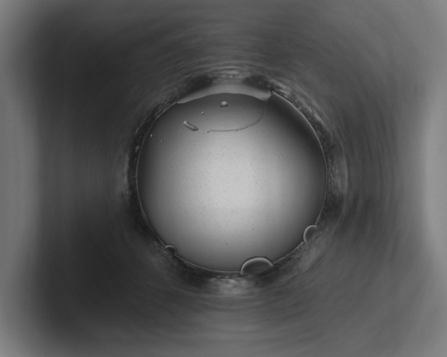 X0000102310512200808011425