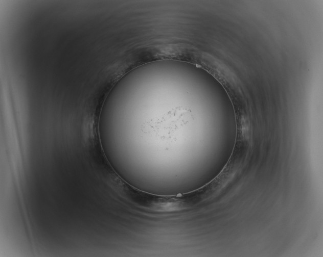 X0000102310514200808011425