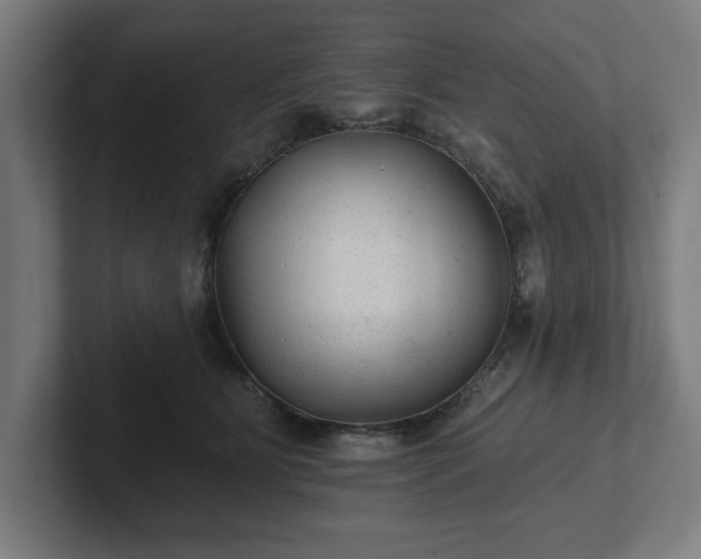 X0000102310515200808011425