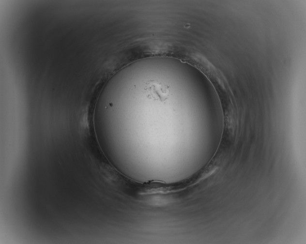 X0000102310516200808011425