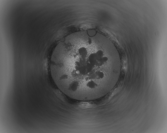 X0000102310519200808011425