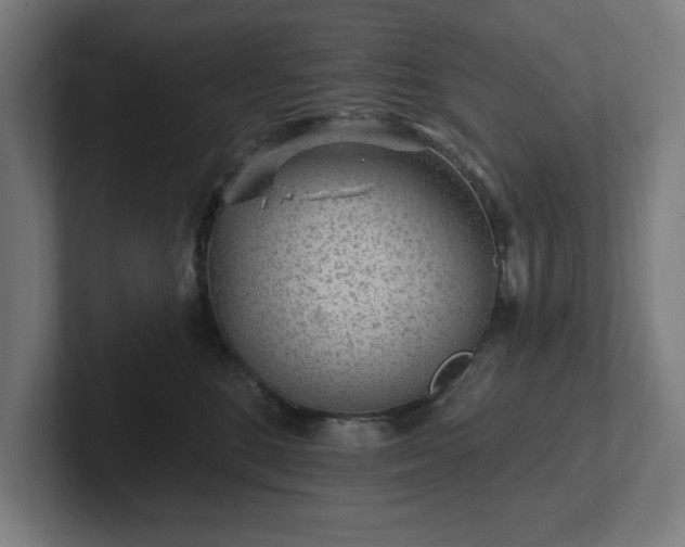 X0000102310520200808011425