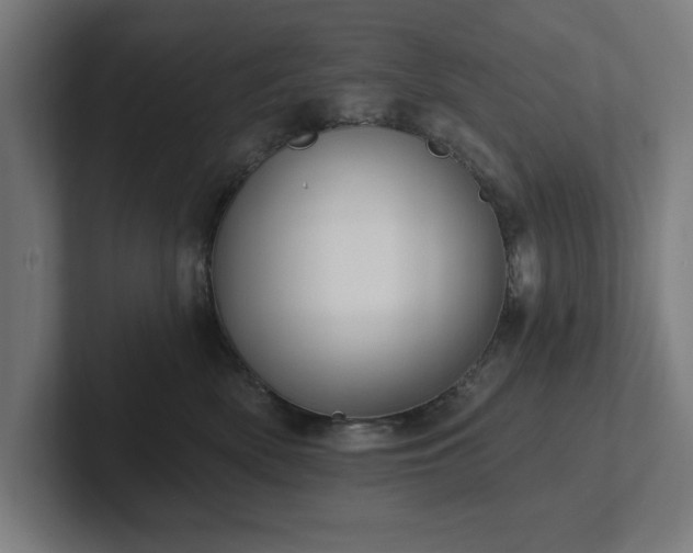 X0000102310522200808011425