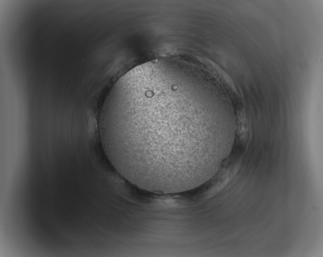 X0000102310523200808011425