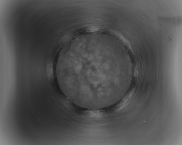 X0000102310524200808011425