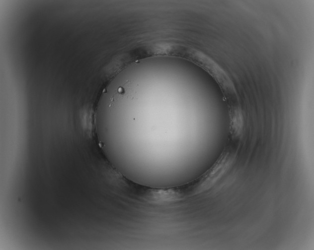 X0000102310525200808011425