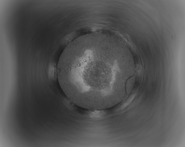 X0000102310527200808011425