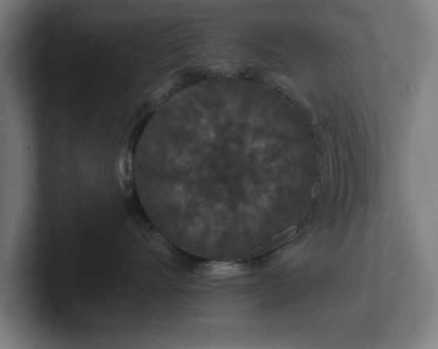 X0000102310528200808011425