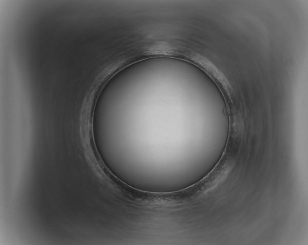 X0000102310529200808011425