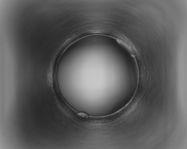 X0000102310530200808011425