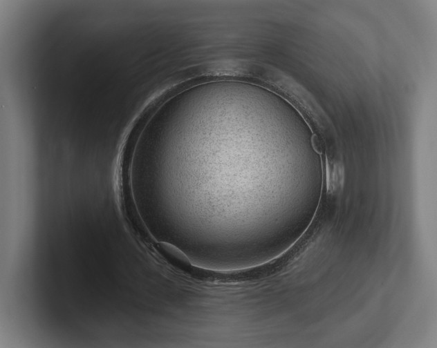 X0000102310531200808011425