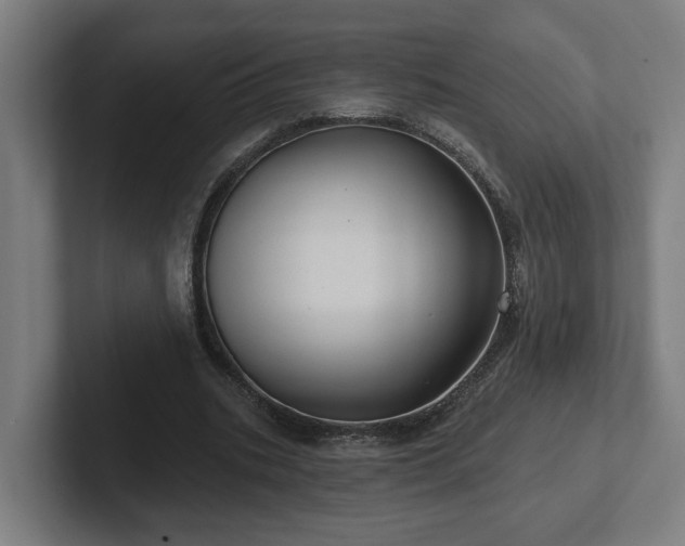 X0000102310535200808011425