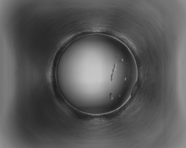 X0000102310536200808011425