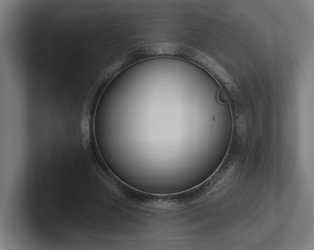 X0000102310537200808011425