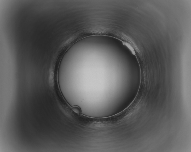 X0000102310538200808011425