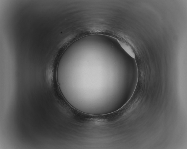 X0000102310539200808011425