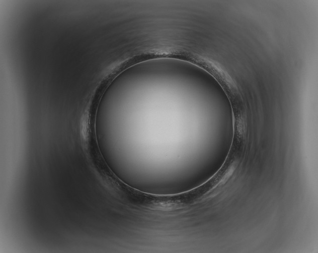 X0000102310540200808011425