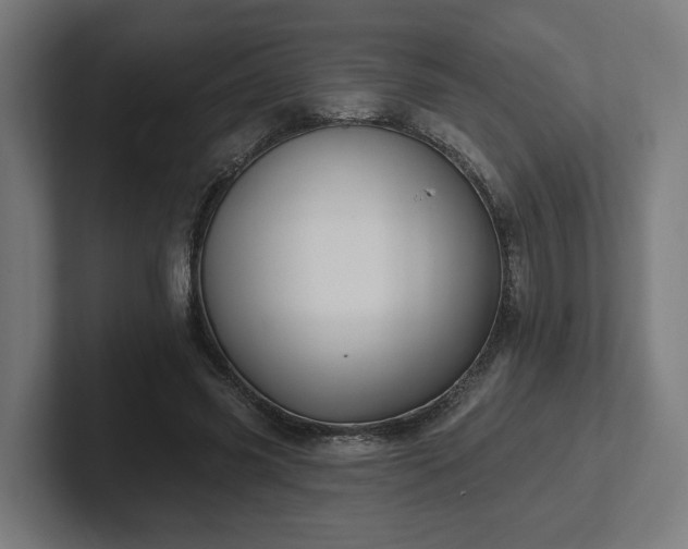 X0000102310541200808011425