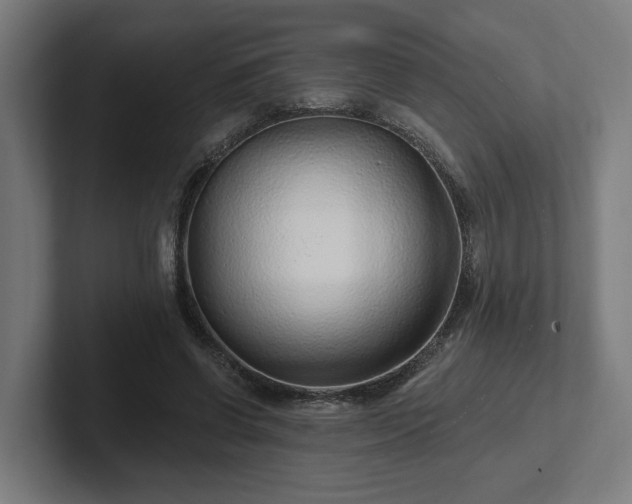 X0000102310542200808011425