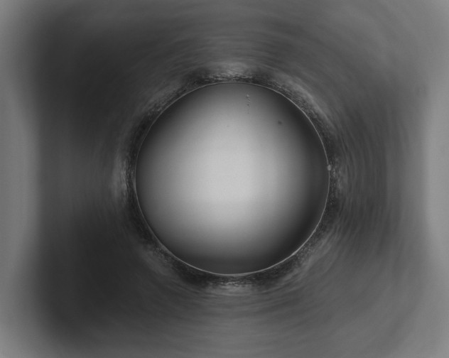 X0000102310546200808011425