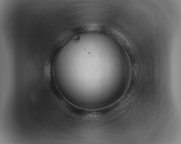 X0000102310550200808011425