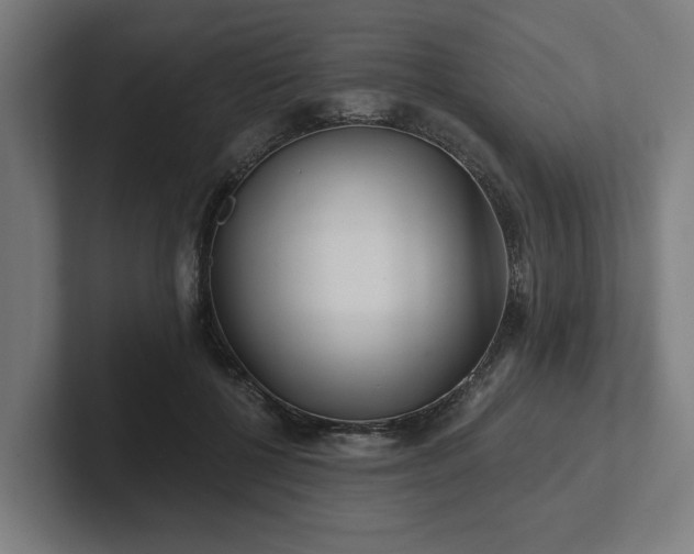 X0000102310552200808011425