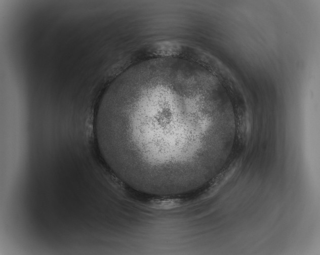 X0000102310553200808011425