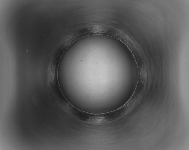 X0000102310554200808011425