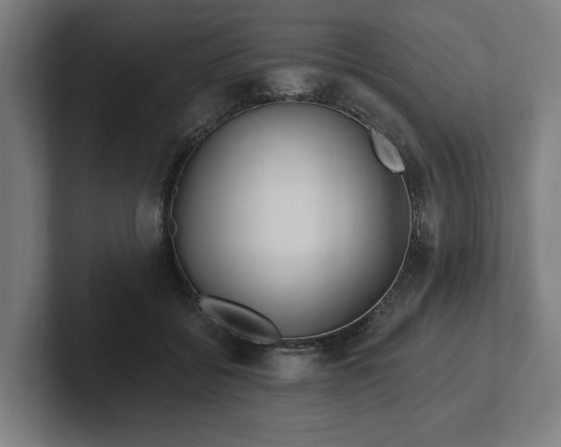 X0000102310556200808011425