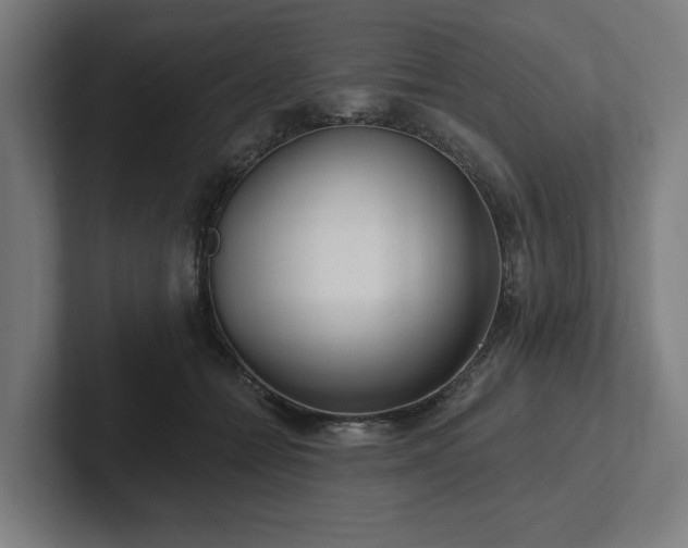 X0000102310558200808011425