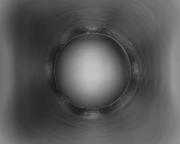 X0000102310559200808011425