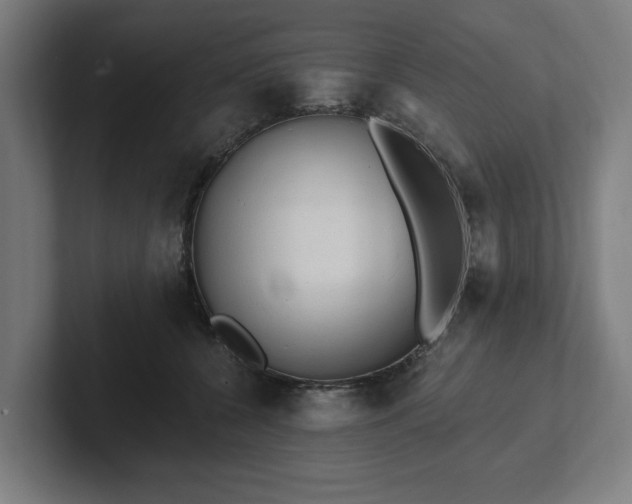 X0000102310560200808011425