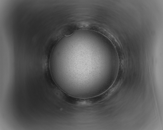 X0000102310561200808011425