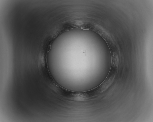 X0000102310562200808011425