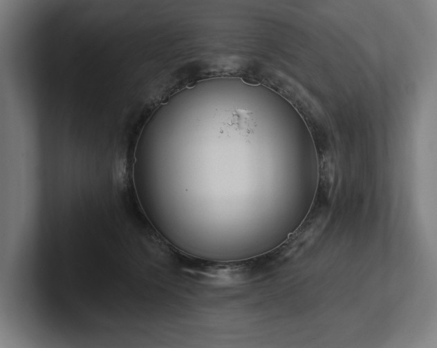 X0000102310564200808011425