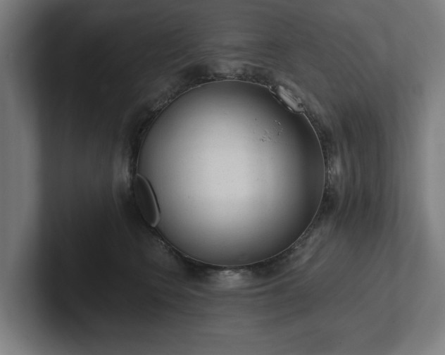 X0000102310566200808011425