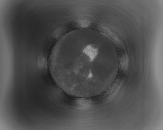 X0000102310568200808011425