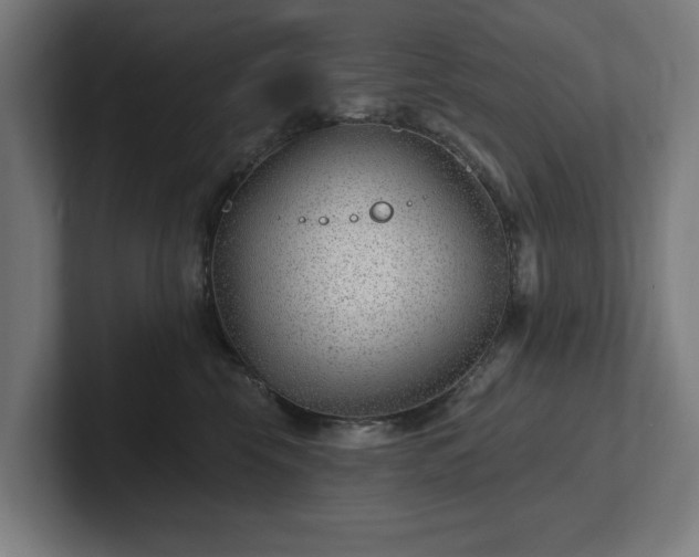 X0000102310569200808011425