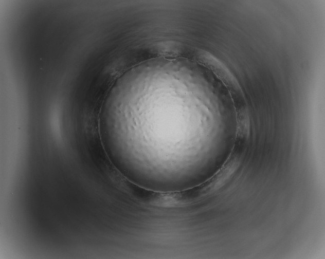 X0000102310573200808011425