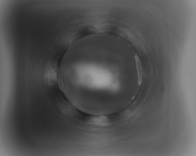 X0000102310576200808011425