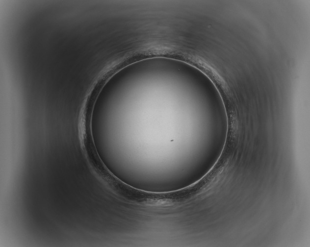 X0000102310582200808011424