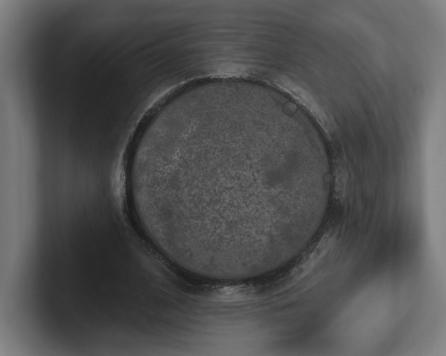 X0000102310584200808011424